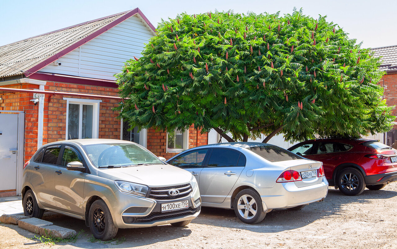 Гостиница Гостевой дом Лето Ейск-47