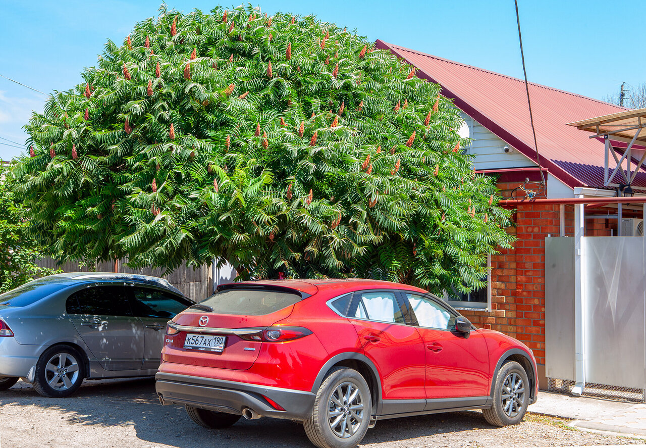 Гостиница Гостевой дом Лето Ейск-13