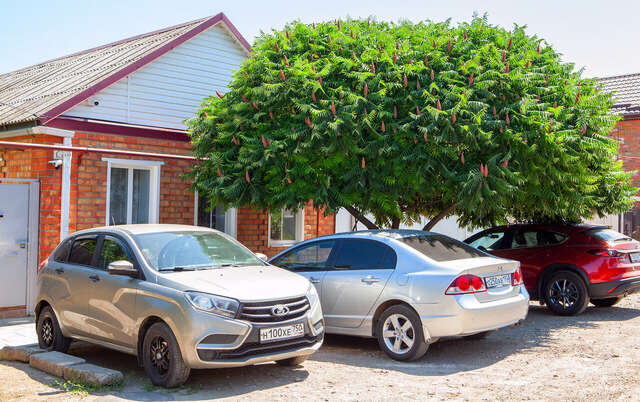 Гостиница Гостевой дом Лето Ейск-46