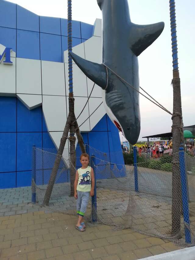 Гостиница Гостевой дом Лето Ейск-28